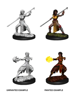 D&D Nolzur's Marvelous Miniatures: Female Half-Elf Monk