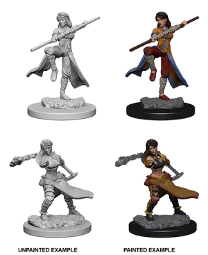D&D Nolzur's Marvelous Miniatures: Female Human Monk