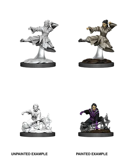 D&D Nolzur's Marvelous Miniatures: Female Human Monk