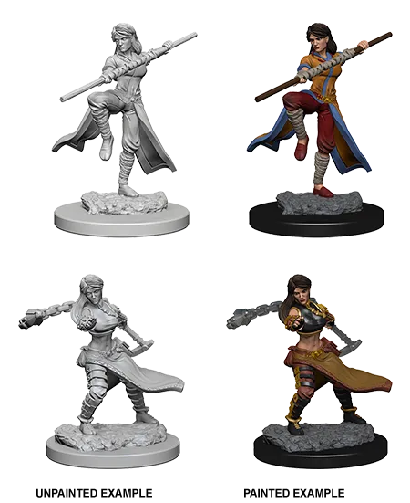 D&D Nolzur's Marvelous Miniatures: Female Human Monk