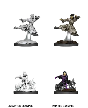 D&D Nolzur's Marvelous Miniatures: Female Human Monk
