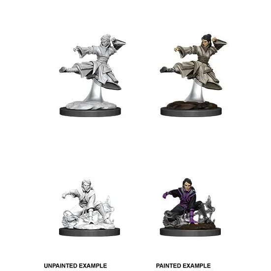 D&D Nolzur's Marvelous Miniatures: Human Monk (She/They) - Wave 11