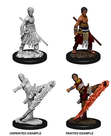 D&D Nolzur's Marvelous Miniatures: Male Half-Elf Monk