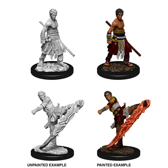 D&D Nolzurs Marvelous Unpainted Miniature Wave 10: Half Elf Monk