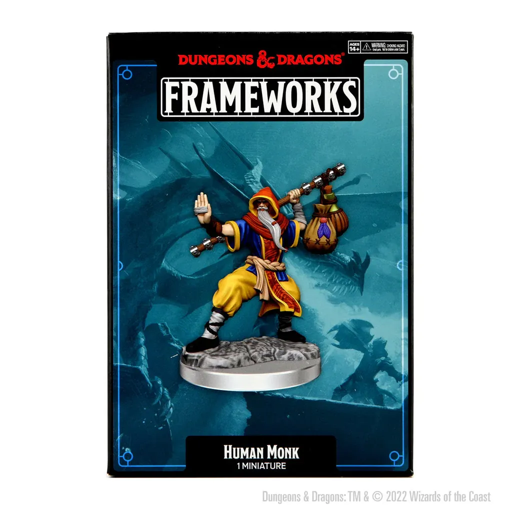 Dungeons & Dragons: Frameworks Human Monk Male