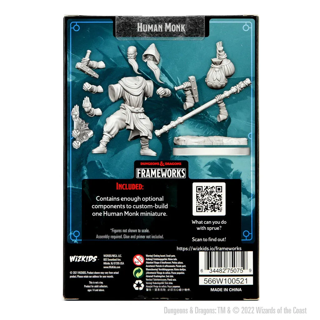 Dungeons & Dragons: Frameworks Human Monk Male