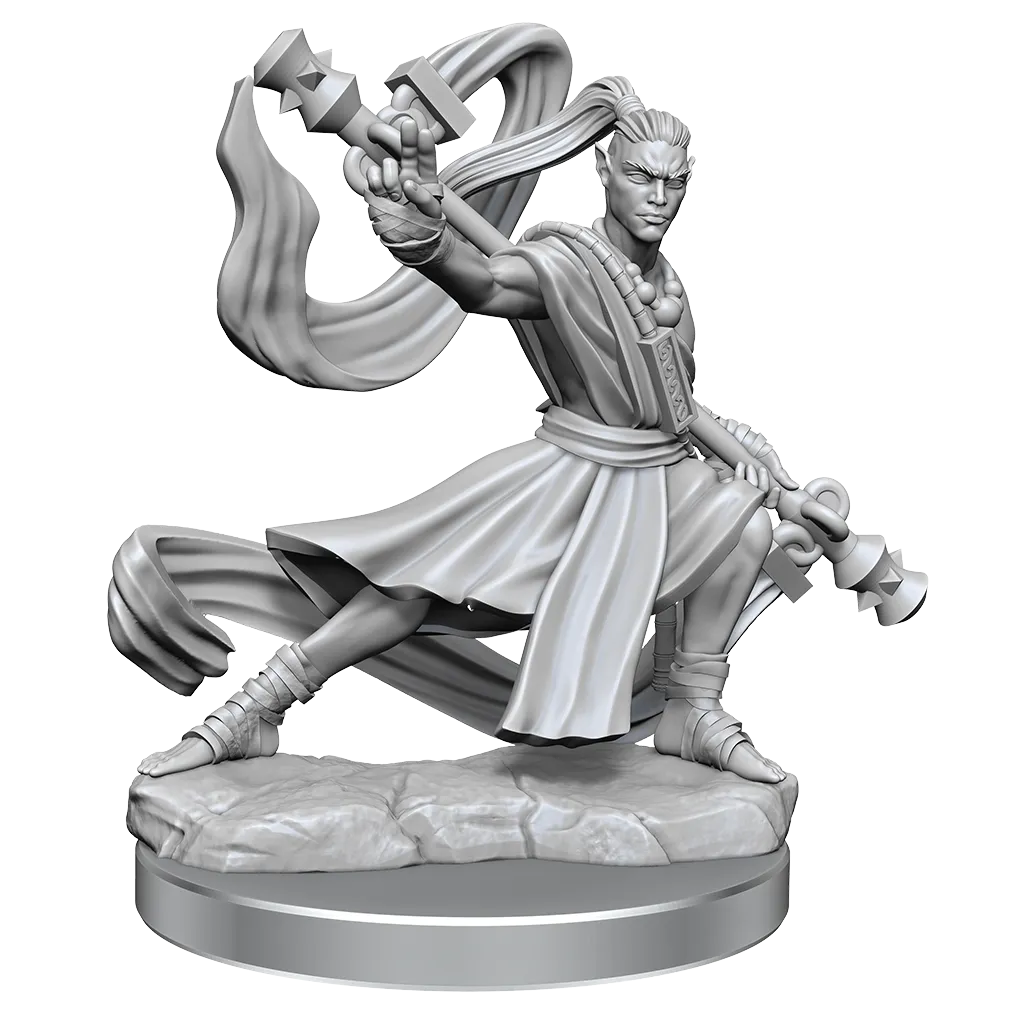 Elf Monk He/Him - D&D Frameworks