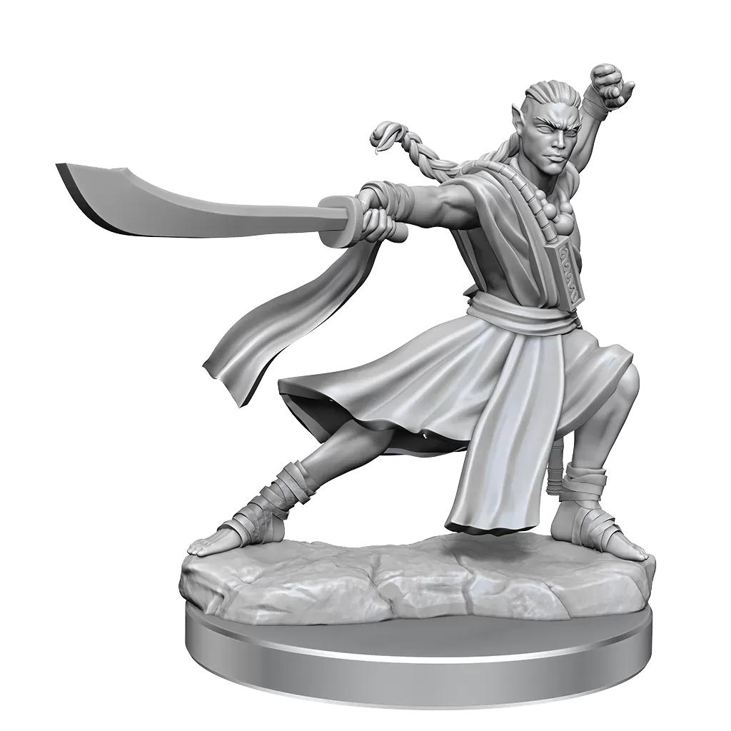 Elf Monk He/Him - D&D Frameworks