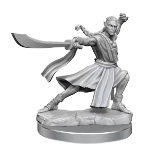 Elf Monk He/Him - D&D Frameworks