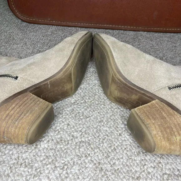 Frye &amp; Co. ankle boots