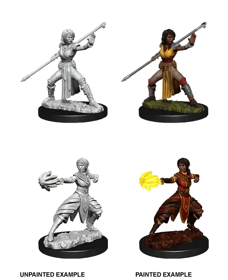 Half-Elf Monk Female
