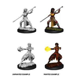 Half-Elf Monk She/Her - D&D Nolzur’s Minis