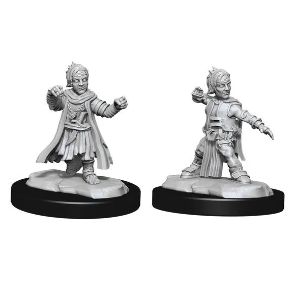 Halfing Monk Male: Wave 15 - Pathfinder Deep Cuts