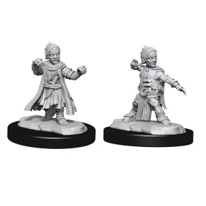 Halfing Monk Male: Wave 15 - Pathfinder Deep Cuts