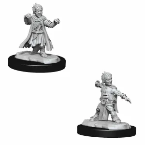 Halfling Monk He/Him - Pathfinder Deep Cuts
