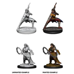 Human Monk (#3) She/Her - D&D Nolzur's Minis