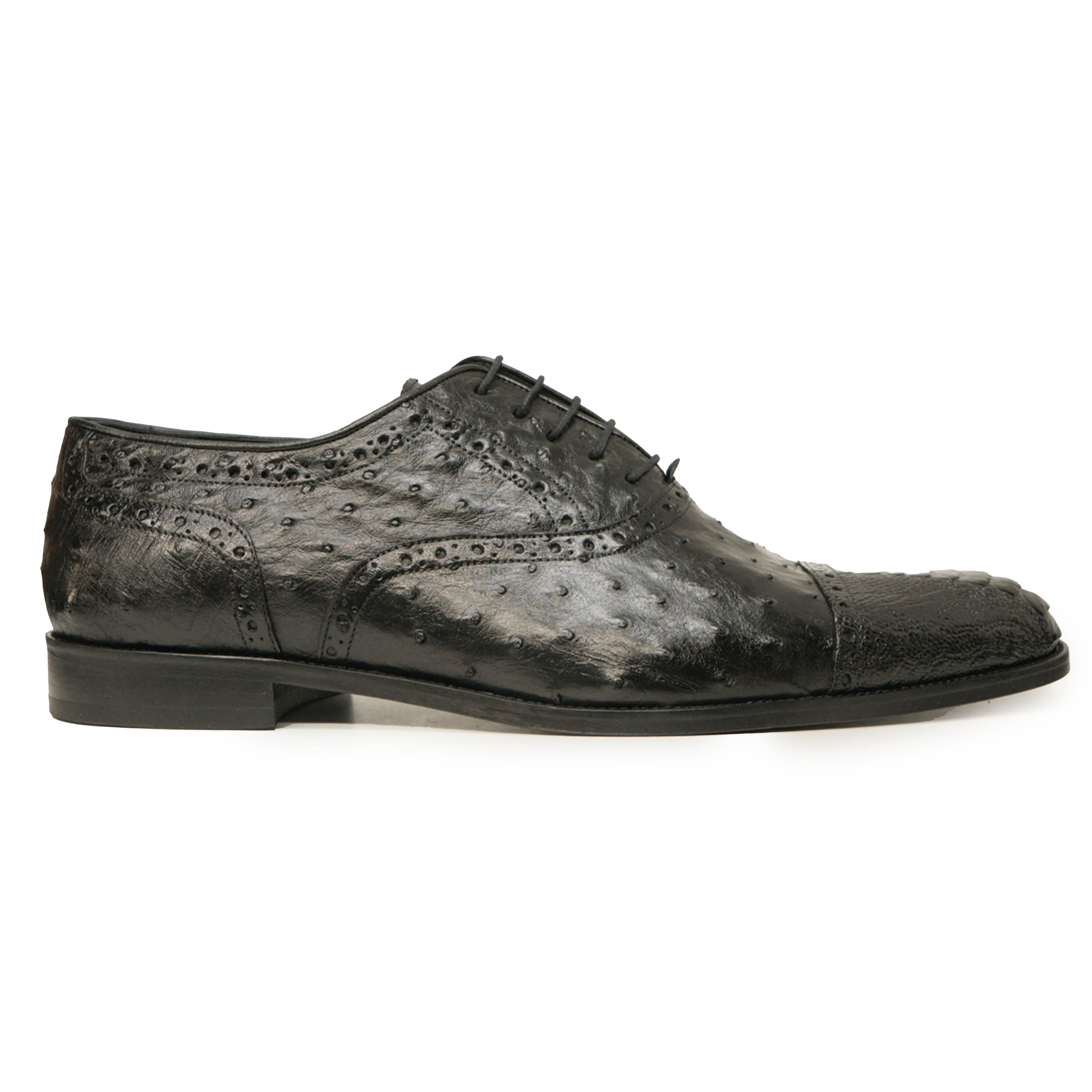 Kashani Black Ostrich Quill / Leg Oxford Dress Shoes