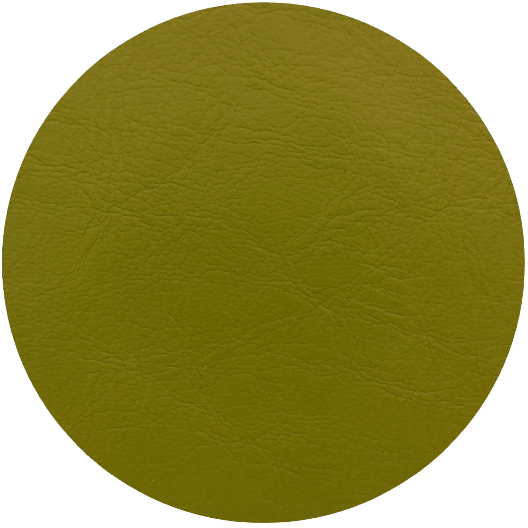 Leather Dye Paint Lime Green