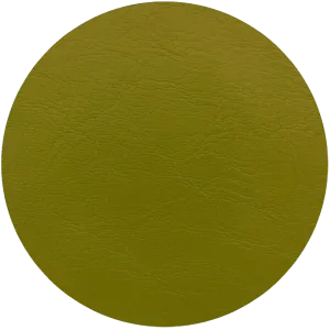 Leather Dye Paint Lime Green