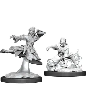 Nolzur's Marvelous Miniatures: Female Human Monk