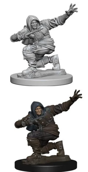 Pathfinder Human Male Rogue