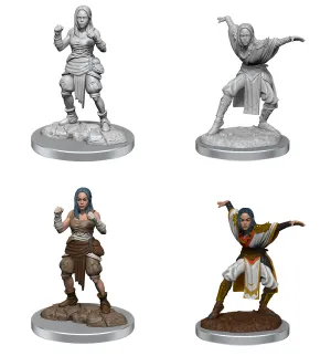 PF UNPAINTED MINIS WV21 HALF-ELF MONK FEMALES