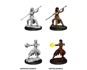 Wizkids D&D Minis 73839 Half-Elf Monk  Female